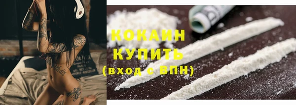 кокс Бородино