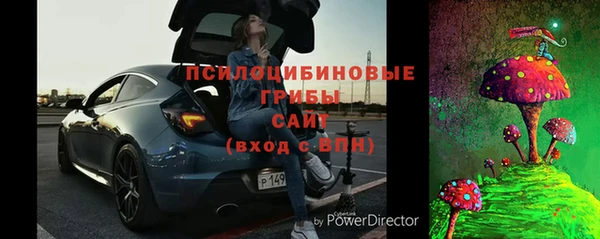 кокс Бородино