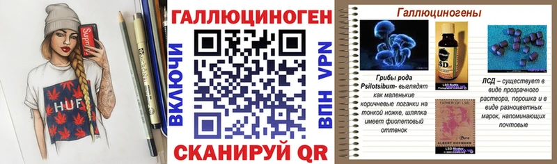 где найти   Жердевка  KRAKEN зеркало  Псилоцибиновые грибы ЛСД 